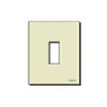 Placca 1 Modulo Resina Scatto Avorio